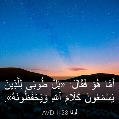 Picture 03 - لُوقا 11:28 AVD - أَمَّا هُوَ فَقَالَ: «بَلْ - Bible Verse Picture