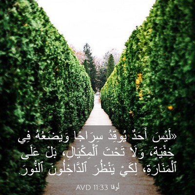 Picture 03 - لُوقا 11:33 AVD - «لَيْسَ أَحَدٌ يُوقِدُ - Bible Verse Picture