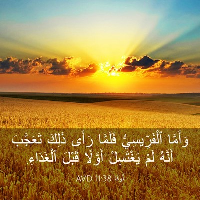 Picture 03 - لُوقا 11:38 AVD - وَأَمَّا ٱلْفَرِّيسِيُّ - Bible Verse Picture