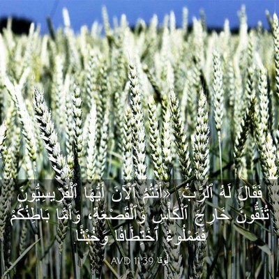Picture 03 - لُوقا 11:39 AVD - فَقَالَ لَهُ ٱلرَّبُّ: - Bible Verse Picture
