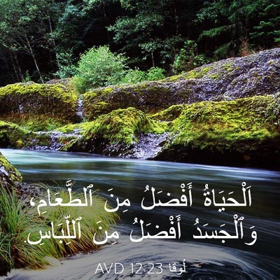 Picture 03 - لُوقا 12:23 AVD - اَلْحَيَاةُ أَفْضَلُ مِنَ - Bible Verse Picture