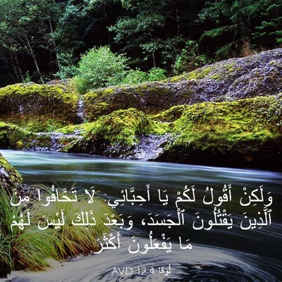 Picture 03 - لُوقا 12:4 AVD - وَلَكِنْ أَقُولُ لَكُمْ - Bible Verse Picture