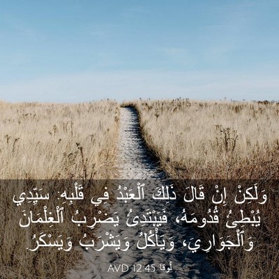 Picture 03 - لُوقا 12:45 AVD - وَلَكِنْ إِنْ قَالَ ذَلِكَ - Bible Verse Picture