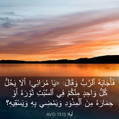 Picture 03 - لُوقا 13:15 AVD - فَأَجَابَهُ ٱلرَّبُّ - Bible Verse Picture