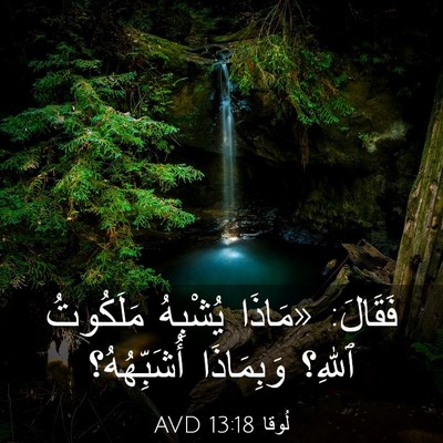 Picture 03 - لُوقا 13:18 AVD - فَقَالَ: «مَاذَا يُشْبِهُ - Bible Verse Picture