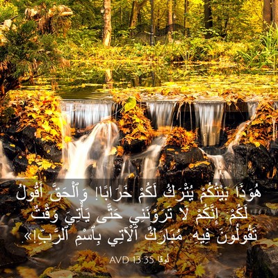 Picture 03 - لُوقا 13:35 AVD - هُوَذَا بَيْتُكُمْ - Bible Verse Picture
