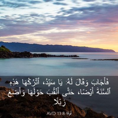 Picture 03 - لُوقا 13:8 AVD - فَأَجَابَ وَقَالَ لَهُ: - Bible Verse Picture
