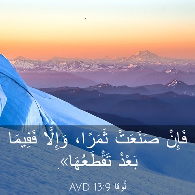 Picture 03 - لُوقا 13:9 AVD - فَإِنْ صَنَعَتْ ثَمَرًا، - Bible Verse Picture