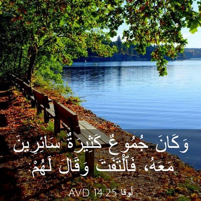 Picture 03 - لُوقا 14:25 AVD - وَكَانَ جُمُوعٌ كَثِيرَةٌ - Bible Verse Picture