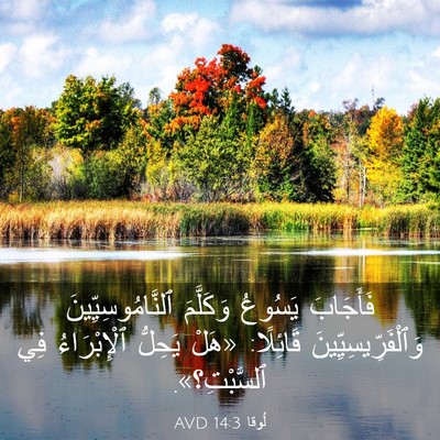 Picture 03 - لُوقا 14:3 AVD - فَأَجَابَ يَسُوعُ - Bible Verse Picture