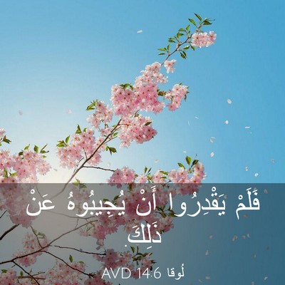 Picture 03 - لُوقا 14:6 AVD - فَلَمْ يَقْدِرُوا أَنْ - Bible Verse Picture