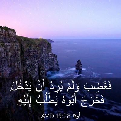 Picture 03 - لُوقا 15:28 AVD - فَغَضِبَ وَلَمْ يُرِدْ - Bible Verse Picture