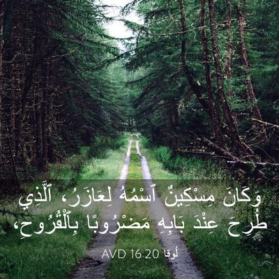 Picture 03 - لُوقا 16:20 AVD - وَكَانَ مِسْكِينٌ ٱسْمُهُ - Bible Verse Picture