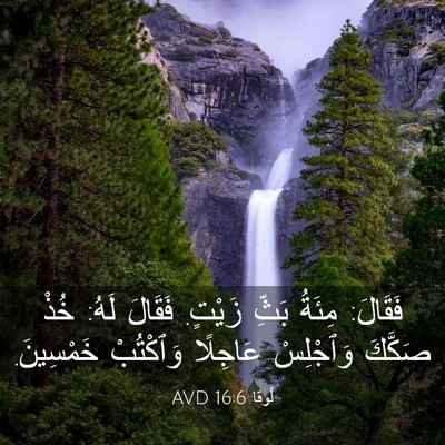 Picture 03 - لُوقا 16:6 AVD - فَقَالَ: مِئَةُ بَثِّ - Bible Verse Picture