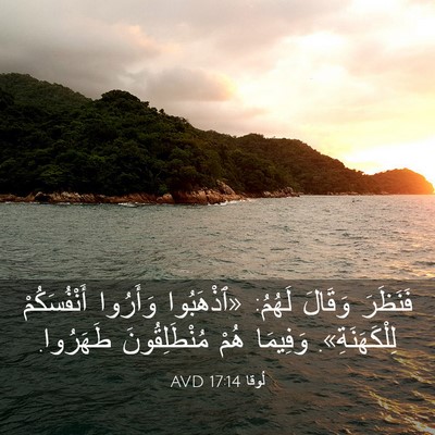 Picture 03 - لُوقا 17:14 AVD - فَنَظَرَ وَقَالَ لَهُمُ: - Bible Verse Picture
