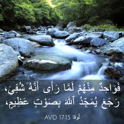 Picture 03 - لُوقا 17:15 AVD - فَوَاحِدٌ مِنْهُمْ لَمَّا - Bible Verse Picture