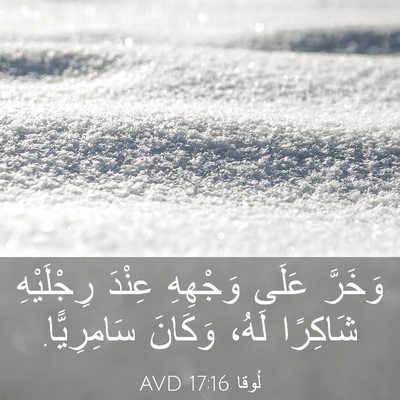 Picture 03 - لُوقا 17:16 AVD - وَخَرَّ عَلَى وَجْهِهِ - Bible Verse Picture