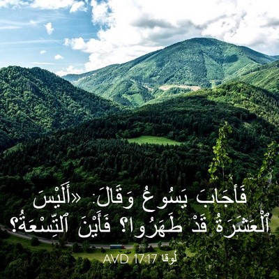 Picture 03 - لُوقا 17:17 AVD - فَأجَابَ يَسُوعُ وَقَالَ: - Bible Verse Picture