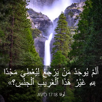 Picture 03 - لُوقا 17:18 AVD - أَلَمْ يُوجَدْ مَنْ - Bible Verse Picture