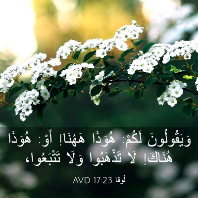 Picture 03 - لُوقا 17:23 AVD - وَيَقُولُونَ لَكُمْ: - Bible Verse Picture
