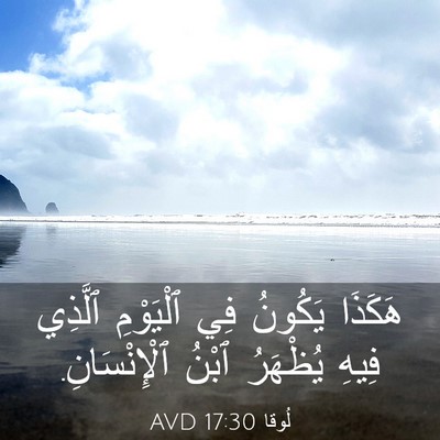 Picture 03 - لُوقا 17:30 AVD - هَكَذَا يَكُونُ فِي - Bible Verse Picture