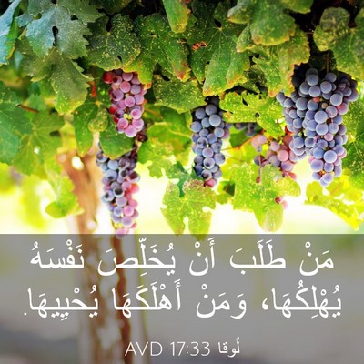 Picture 03 - لُوقا 17:33 AVD - مَنْ طَلَبَ أَنْ يُخَلِّصَ - Bible Verse Picture