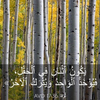 Picture 03 - لُوقا 17:36 AVD - يَكُونُ ٱثْنَانِ فِي - Bible Verse Picture
