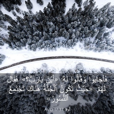 Picture 03 - لُوقا 17:37 AVD - فَأَجَابوا وَقَالُوا لَهُ: - Bible Verse Picture