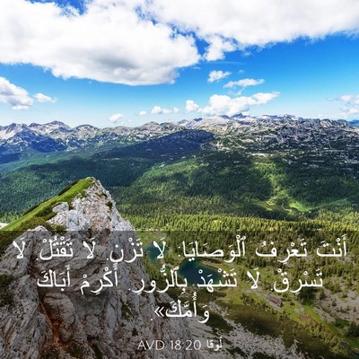 Picture 03 - لُوقا 18:20 AVD - أَنْتَ تَعْرِفُ - Bible Verse Picture