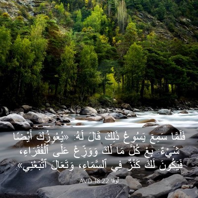 Picture 03 - لُوقا 18:22 AVD - فَلَمَّا سَمِعَ يَسُوعُ - Bible Verse Picture