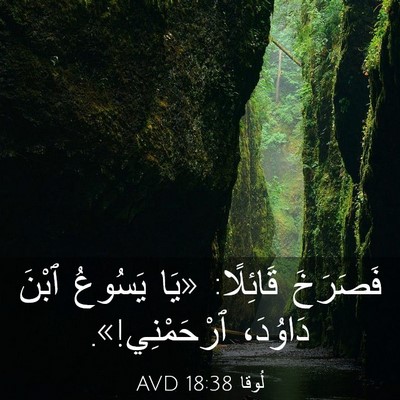 Picture 03 - لُوقا 18:38 AVD - فَصَرَخَ قَائِلًا: «يَا - Bible Verse Picture