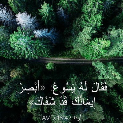 Picture 03 - لُوقا 18:42 AVD - فَقَالَ لَهُ يَسُوعُ: - Bible Verse Picture