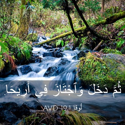 Picture 03 - لُوقا 19:1 AVD - ثُمَّ دَخَلَ وَٱجْتَازَ - Bible Verse Picture