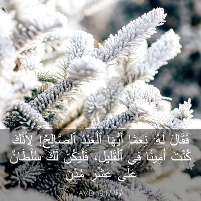 Picture 03 - لُوقا 19:17 AVD - فَقَالَ لَهُ: نِعِمَّا - Bible Verse Picture