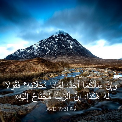 Picture 03 - لُوقا 19:31 AVD - وَإِنْ سَأَلَكُمَا أَحَدٌ: - Bible Verse Picture