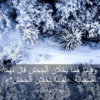 Picture 03 - لُوقا 19:33 AVD - وَفِيمَا هُمَا يَحُلَّانِ - Bible Verse Picture