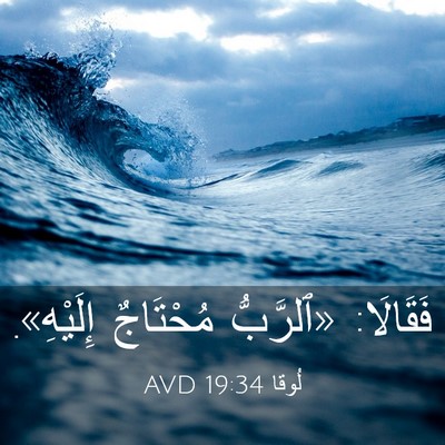 Picture 03 - لُوقا 19:34 AVD - فَقَالَا: «ٱلرَّبُّ - Bible Verse Picture