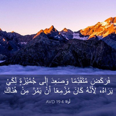 Picture 03 - لُوقا 19:4 AVD - فَرَكَضَ مُتَقَدِّمًا - Bible Verse Picture