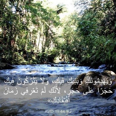 Picture 03 - لُوقا 19:44 AVD - وَيَهْدِمُونَكِ وَبَنِيكِ - Bible Verse Picture