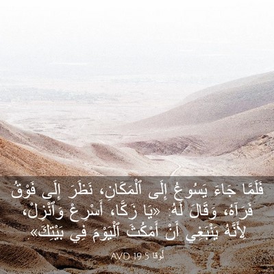 Picture 03 - لُوقا 19:5 AVD - فَلَمَّا جَاءَ يَسُوعُ - Bible Verse Picture