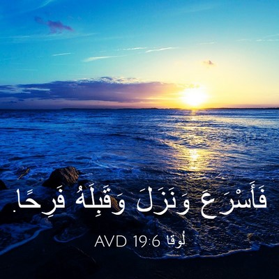 Picture 03 - لُوقا 19:6 AVD - فَأَسْرَعَ وَنَزَلَ - Bible Verse Picture