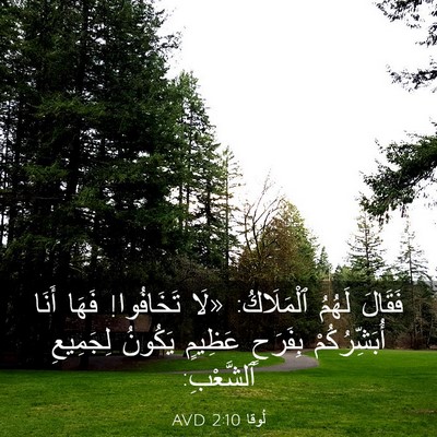 Picture 03 - لُوقا 2:10 AVD - فَقَالَ لَهُمُ ٱلْمَلَاكُ: - Bible Verse Picture