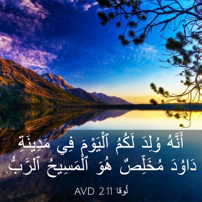 Picture 03 - لُوقا 2:11 AVD - أَنَّهُ وُلِدَ لَكُمُ - Bible Verse Picture