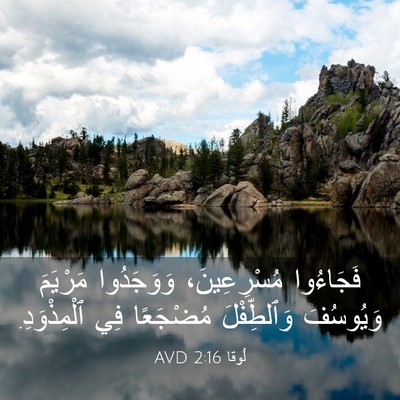 Picture 03 - لُوقا 2:16 AVD - فَجَاءُوا مُسْرِعِينَ، - Bible Verse Picture