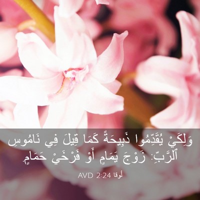 Picture 03 - لُوقا 2:24 AVD - وَلِكَيْ يُقَدِّمُوا - Bible Verse Picture