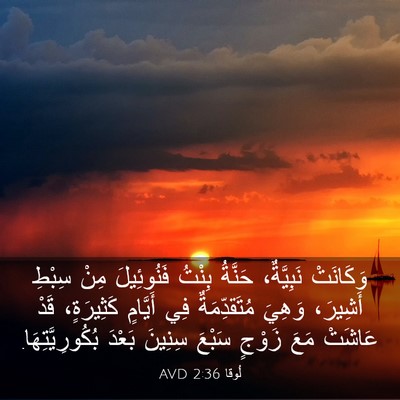 Picture 03 - لُوقا 2:36 AVD - وَكَانَتْ نَبِيَّةٌ، - Bible Verse Picture