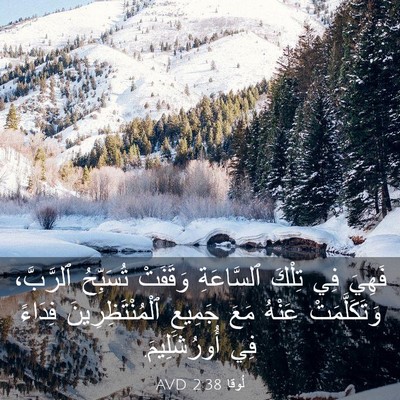 Picture 03 - لُوقا 2:38 AVD - فَهِيَ فِي تِلْكَ - Bible Verse Picture