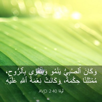 Picture 03 - لُوقا 2:40 AVD - وَكَانَ ٱلصَّبِيُّ - Bible Verse Picture