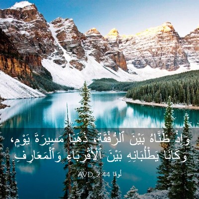Picture 03 - لُوقا 2:44 AVD - وَإِذْ ظَنَّاهُ بَيْنَ - Bible Verse Picture