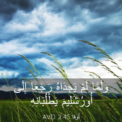 Picture 03 - لُوقا 2:45 AVD - وَلَمَّا لَمْ يَجِدَاهُ - Bible Verse Picture